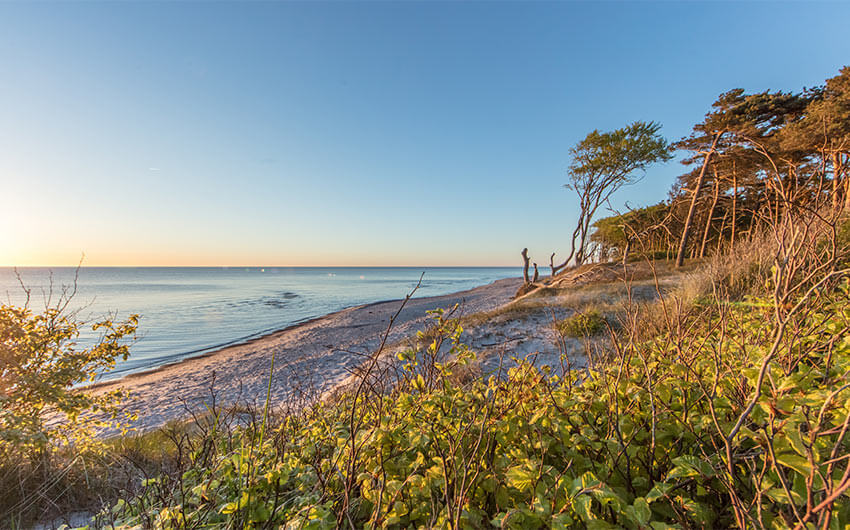 Rad-/ Wanderwegenetz - Fischland-Darß-Zingst